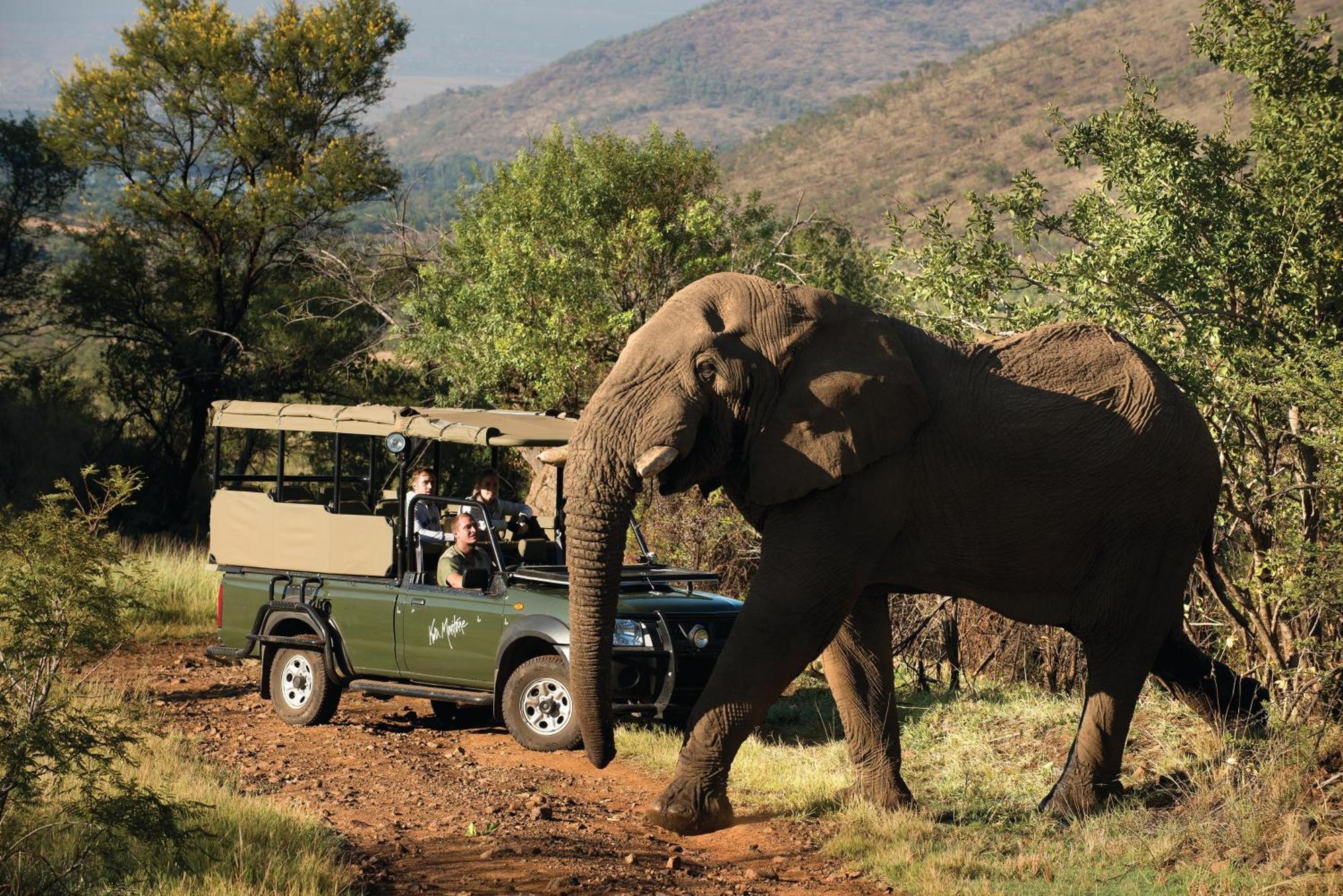 Kwa Maritane Bush alojamiento Ledig Exterior foto